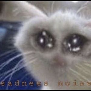 Meet your Posher, Mona